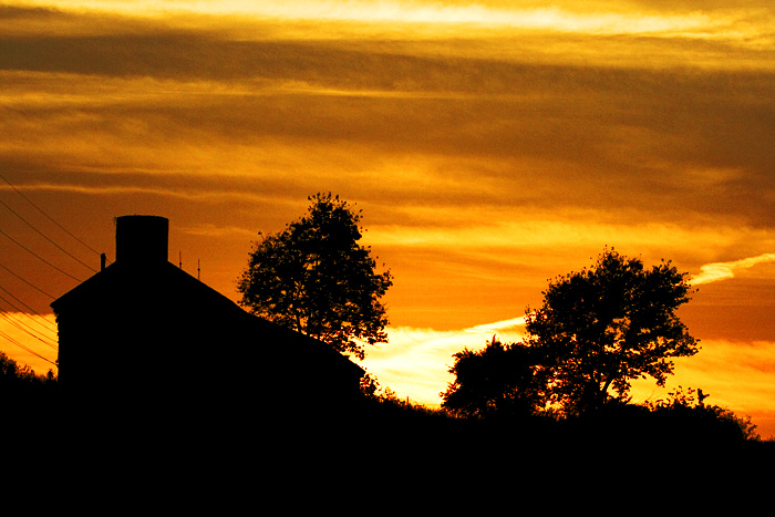 A drive in the country