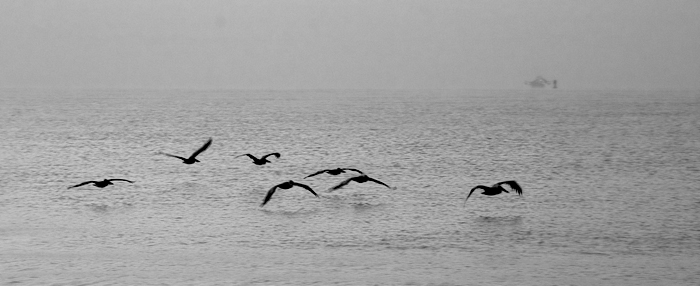 Flight!