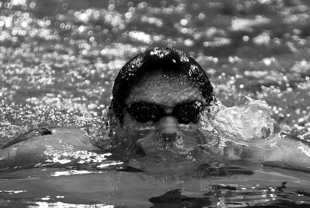 20081205072001_miami swimming.jpg