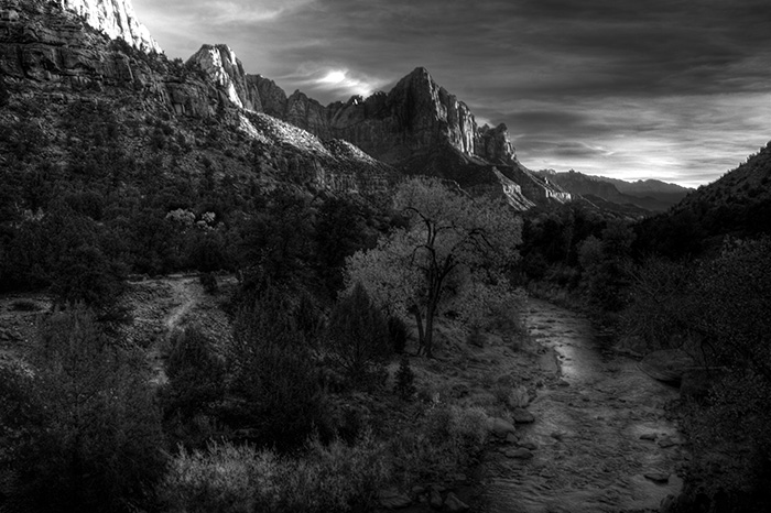 Watchman