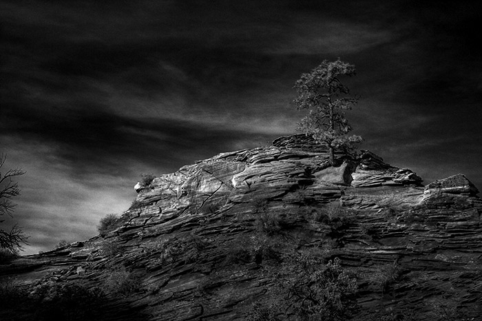20081215212900_one tree hill zion_w.jpg