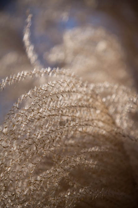 20100202192842_qr grass_w.jpg