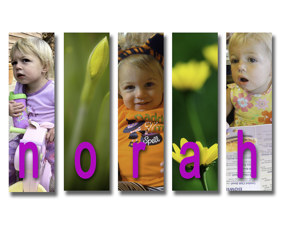 20110208135703_norah collage.jpg