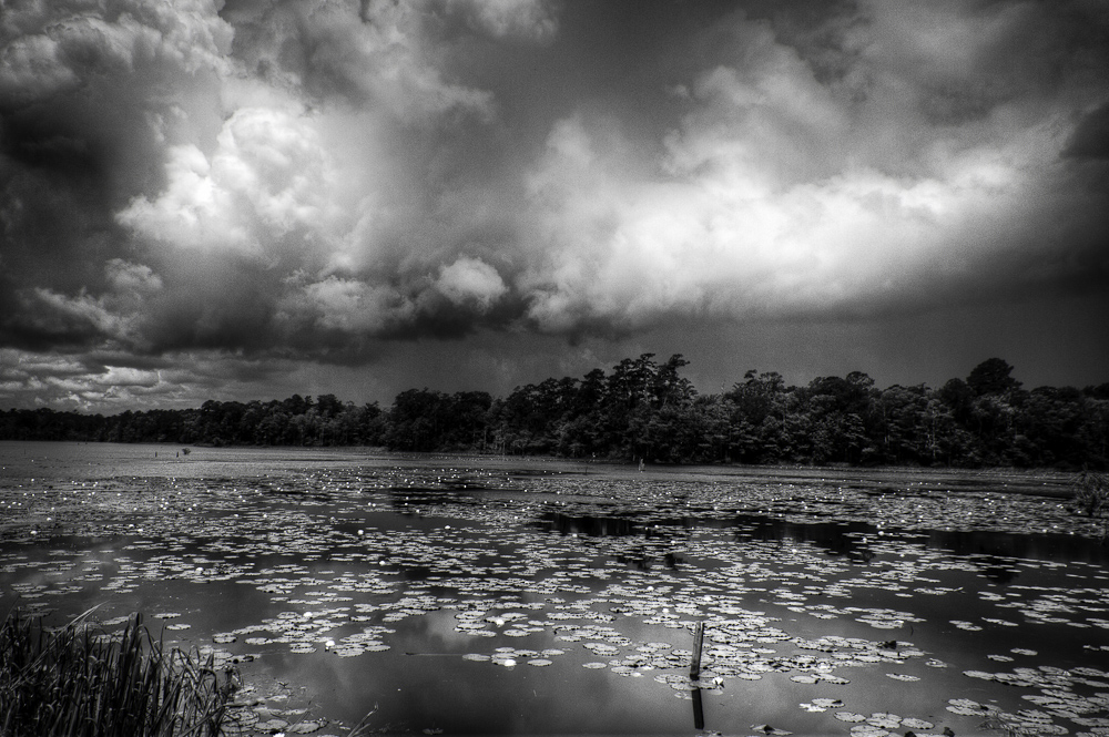 Orton Pond