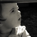 BlogGallery2 -6